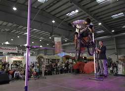 Powiększ zdjęcie, Pokaz akrobacji rowerowych Piotra Bielaka, któremu przygląda się publiczność