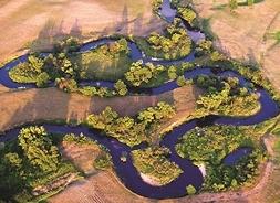 widok rzeki Liwiec z dronu