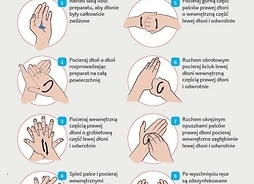 Zasady dezynfekcji rąk w formie graficznej