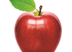Jabłko z liściem przy korzonku