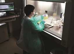 Kobieta ubrana w kombinezon ze specjalnym wyposażeniem siedzi przed oknem do sali laboratoryjnej i rękamiprmez socjalny otwór sięga ośrodka, wykonując prace manualne.