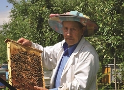 mężczyzna trzyma ramkę pszczelą