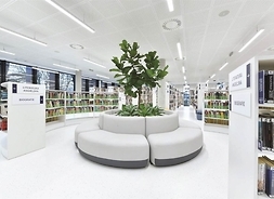 Wnętrze nowocześnie urządzonej biblioteki. Na pierwszym planie widać wielką roślinę z sofami wokół, na dalszym planie - rzędy półek z książkami