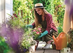 Kobieta w kapeluszu, podczas prac ogrodniczych wśród zieleni