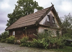 Mała drewniana chata, wokół niej jest mały wiejski ogródek