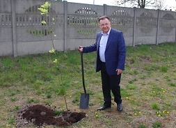 Marszałek sadzi drzewo w Słubicach