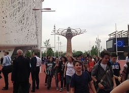 Expo 2015 w Mediolanie wzbudziło bardzo duże zainteresowanie