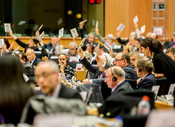 głosowanie opinii Europejskiego Komitetu Regionów podczas 116 sesji plenarnej