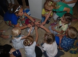 Dzieci dotykają węża