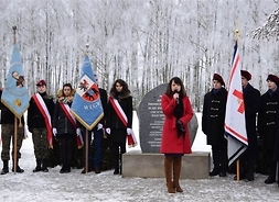 przed pomnikiem przemawia wicemarszałek Janina Ewa Orzełowska