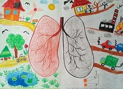kolorowy rysunek przedstawia skutki smogu