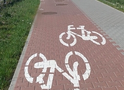 Na pierwszym planie jest brukowana ścieżka rowerowa z wymalowanymi farbą symbolami rowerów