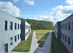 fragment zielonego otoczenia szpitala, widoczna jest przestrzeń między budynkami i las za budynkami