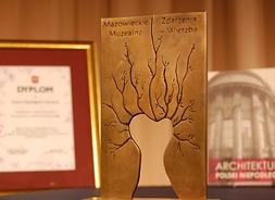 statuetka konkursu, przedstawia kontury drzewa - wierzby, która jest charakterystycznym elementem mazowieckiego krajobrazu