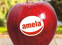 czerwone jabłko z napisem amela