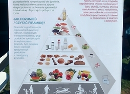 na sztalugach ustawiona jest tablica prtzedstawiająca piramidę żywienia