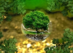 zdjęcie przedstawia drzewo w kuli ze szkła na tle zieleni, symbol czystej i zielonej planety