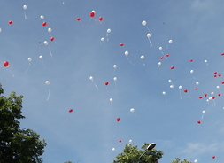 Białe i czerwone balony na tle niebieskiego nieba