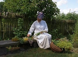 Kobieta siędząca na drewnianej ławce stojacej przy płocie, układająca zioła na ławce. Obok niej stoi wiklinowy kosz z ziołami