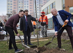 drzewko sadzą marszałek, prezydent Płocka i dyrektor