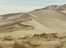 zdjęcie pustyni