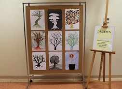 Stojak z pracami uczniów przedstawiającymi drzewa w różnym ujęciu plastycznym