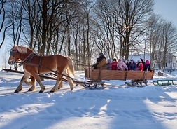 Wóz chłopski wyposażony w sanie zamiast kół, ciągnięty przez dwa konie, pełen kolorowo ubranych dzieci