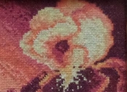 Wyszyty haftem krzyżykowym kwiat irys
