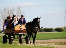 Duża rodzina z dziećmi na zdobionym wozie, zaprzężonym w jednego konia. Powożący w stroju ludowym