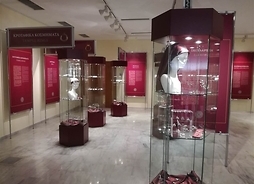 Sala wystawowa z pionowymi gablotami, w nich na półkach naszyjniki i inne elementy biżuterii