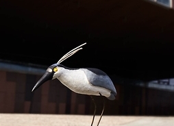 Drewniany ptak na postumencie, brodzący, z długim dziobem i czubkiem
