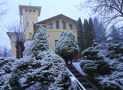 Zdjęcie przedstawia zimową scenerię - oszronione krzewy i w drugim planie budynek