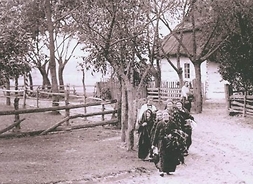 Zdjęcie przedstawia okładkę książki. Na zdjęciu znajduje się grupa wiejskich kobiet idąca drogą, przy której rosną wysokie drzewa. W tle wiejska chałupa kryta strzechą