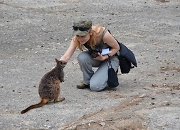 Kobieta z aparatem fotograficznym w dłoni, pochyla się nad małym kangurem
