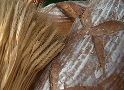 Zdjęcie bochenka chleba oraz kłosów zboża