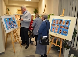 Uczestnicy wystawy oglądają pocztówki rozmieszczone na planszach