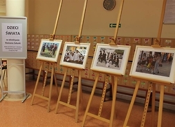 Zdjęcie przedstawia stojące plansze, na których umieszczone są zdjęcia