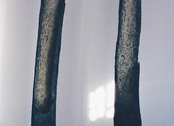 Dwa obiekty instalacji artystycznej przypominające pionowo ustawione dwa pnie bez gałęzi