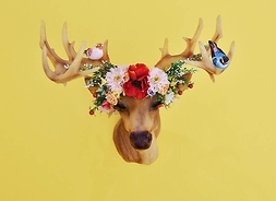 Eksponat, głowa jelenia z rogami przystrojonymi sztucznymi kwiatami.