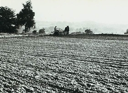 Zdjęcie archiwalne, przedstawiające zaorane pole, w tle mężczyzna oraz koń zaprzęgnięty w urządzenie rolnicze.