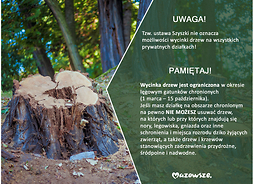 Infografika - UWAGA tzw. ustawa Szyszki nie oznacza możliwości wycinki drzew na wszystkich prywatnych działkach!